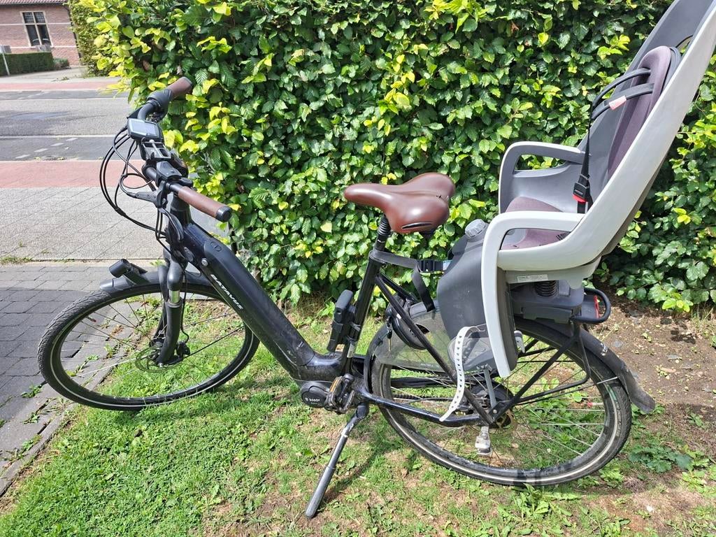 BATAVUS FINEZ E-GO POWER EXCLUSIVE, Ophalen, Batavus