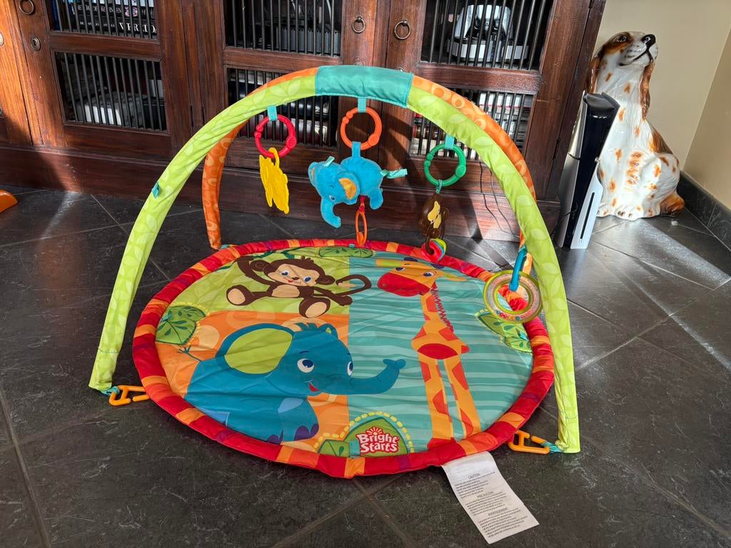 Speelmat Babygym speelboog speelkleed, Ophalen, Zo goed als nieuw