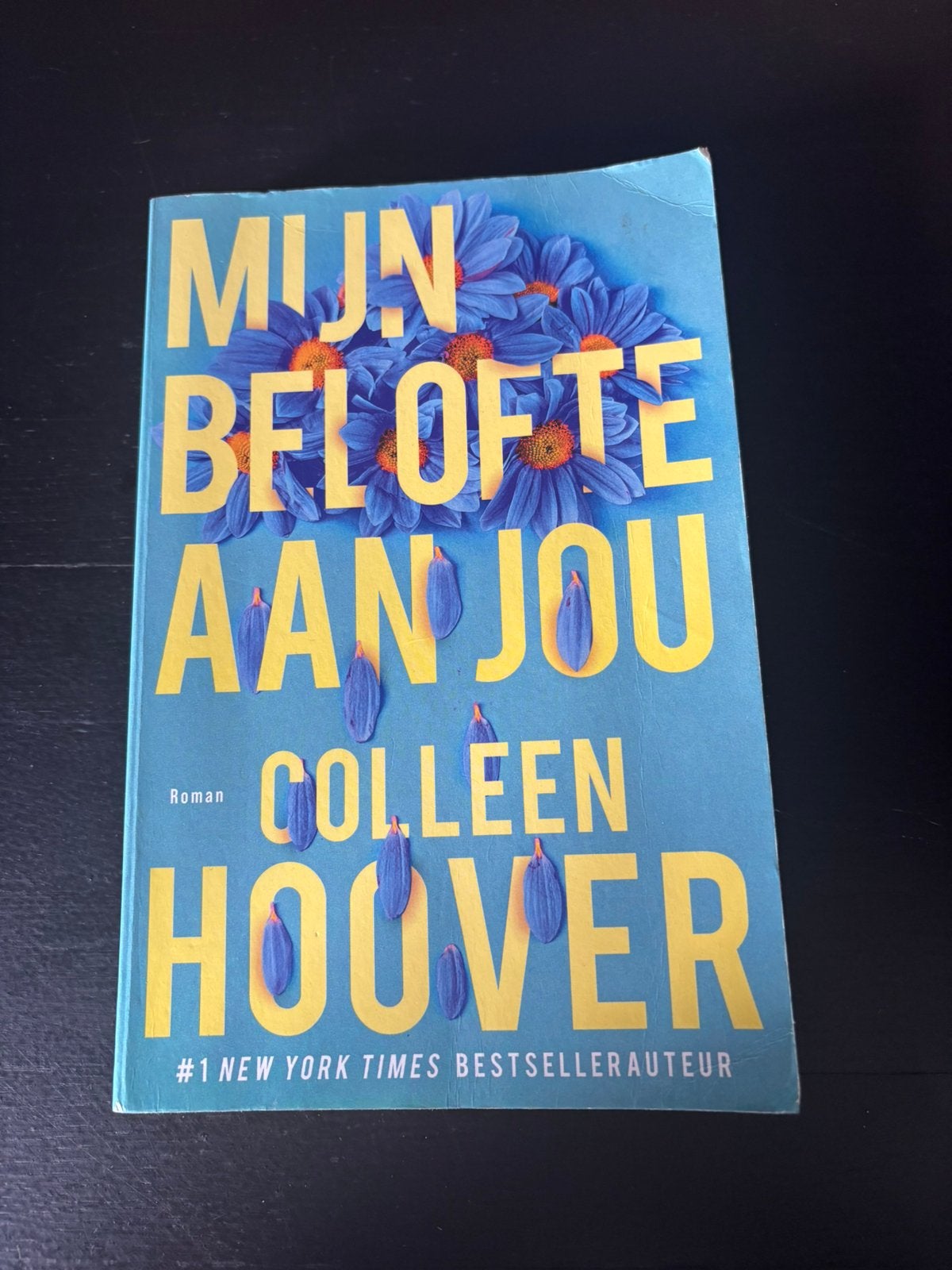 Mijn belofte aan jou, Boeken, Romans, Ophalen of Verzenden, Zo goed als nieuw