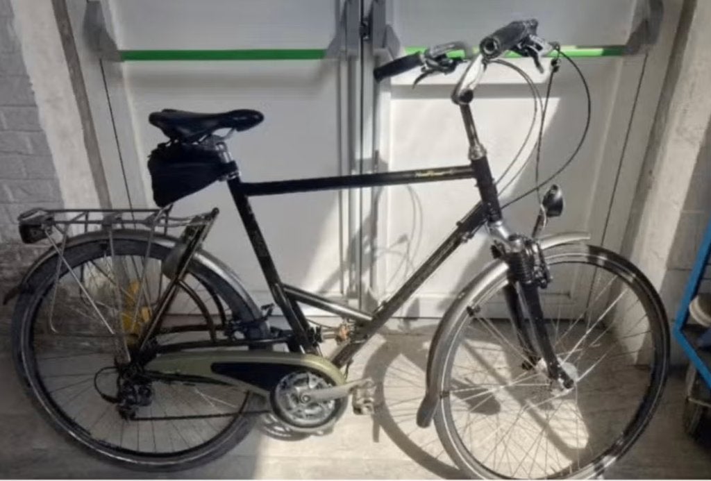 herenfiets koga voor grote mannen, Enlèvement, Utilisé