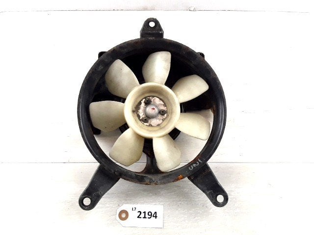 Radiator Ventilator D1-37876, Motoren