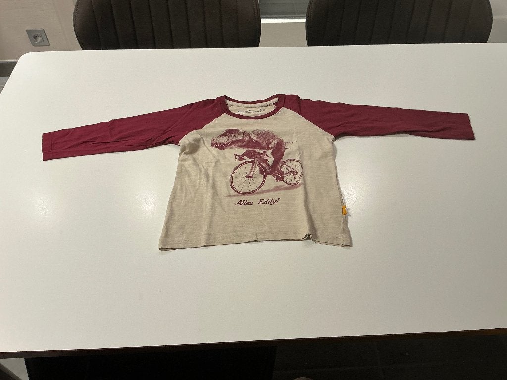 2 t-shirts met lange mouwen maat 104, Kinderen en Baby's, Ophalen of Verzenden, Gebruikt, Jongen, Shirt of Longsleeve