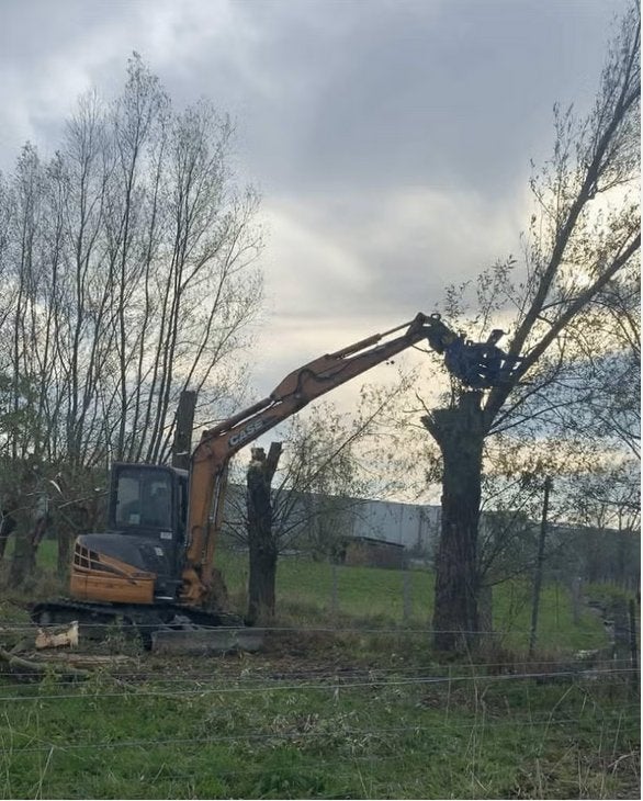 Knippen, knotten van wilgen, vellen van bomen, Ophalen of Verzenden, Overige soorten, 250 cm of meer