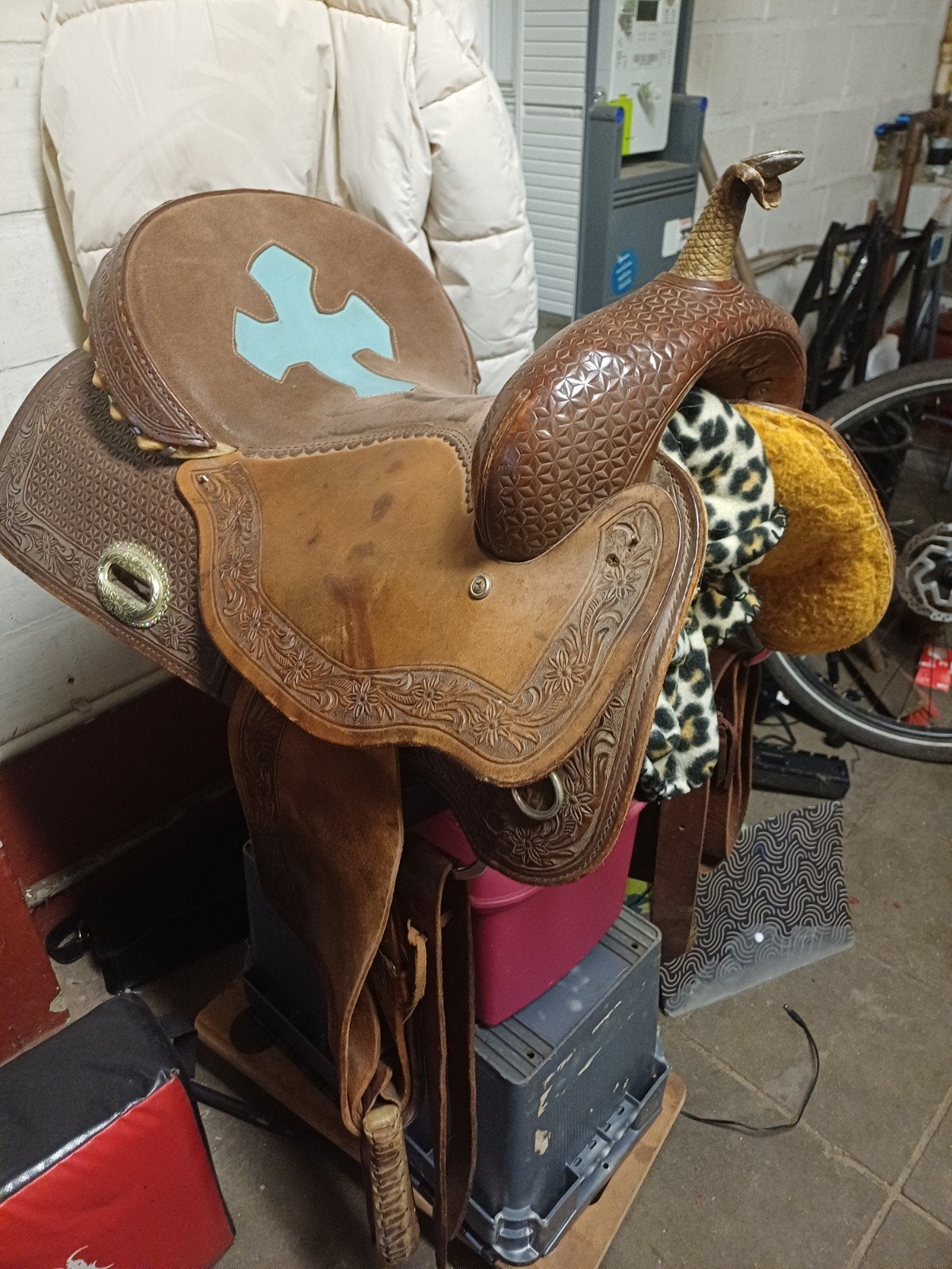Zaden te koop, Animaux & Accessoires, Chevaux