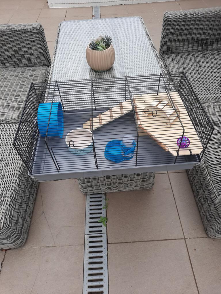 Hamsterkooi met toebehoren, Dieren en Toebehoren, Kooi, Hamster, Minder dan 75 cm, Zo goed als nieuw