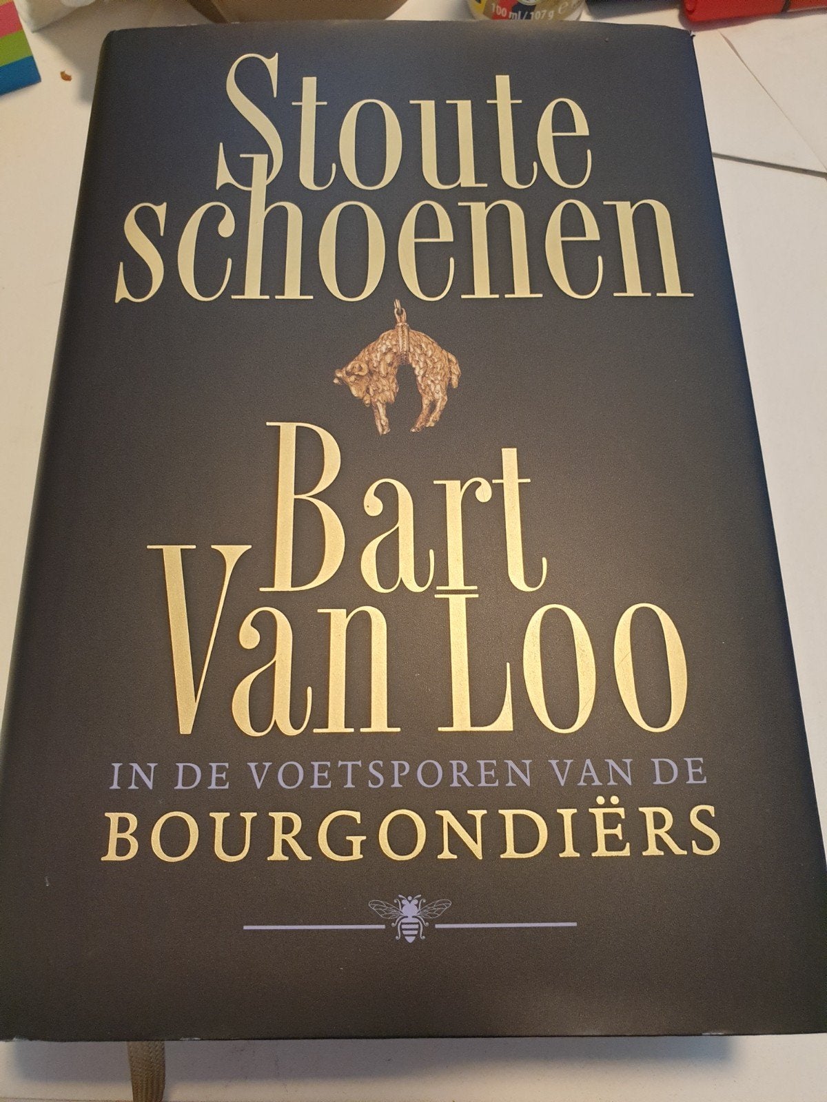 Bart van Loo - Stoute schoenen. Voetsporen Bourgondiërs, Boeken, Ophalen of Verzenden, Zo goed als nieuw, Bart van Loo