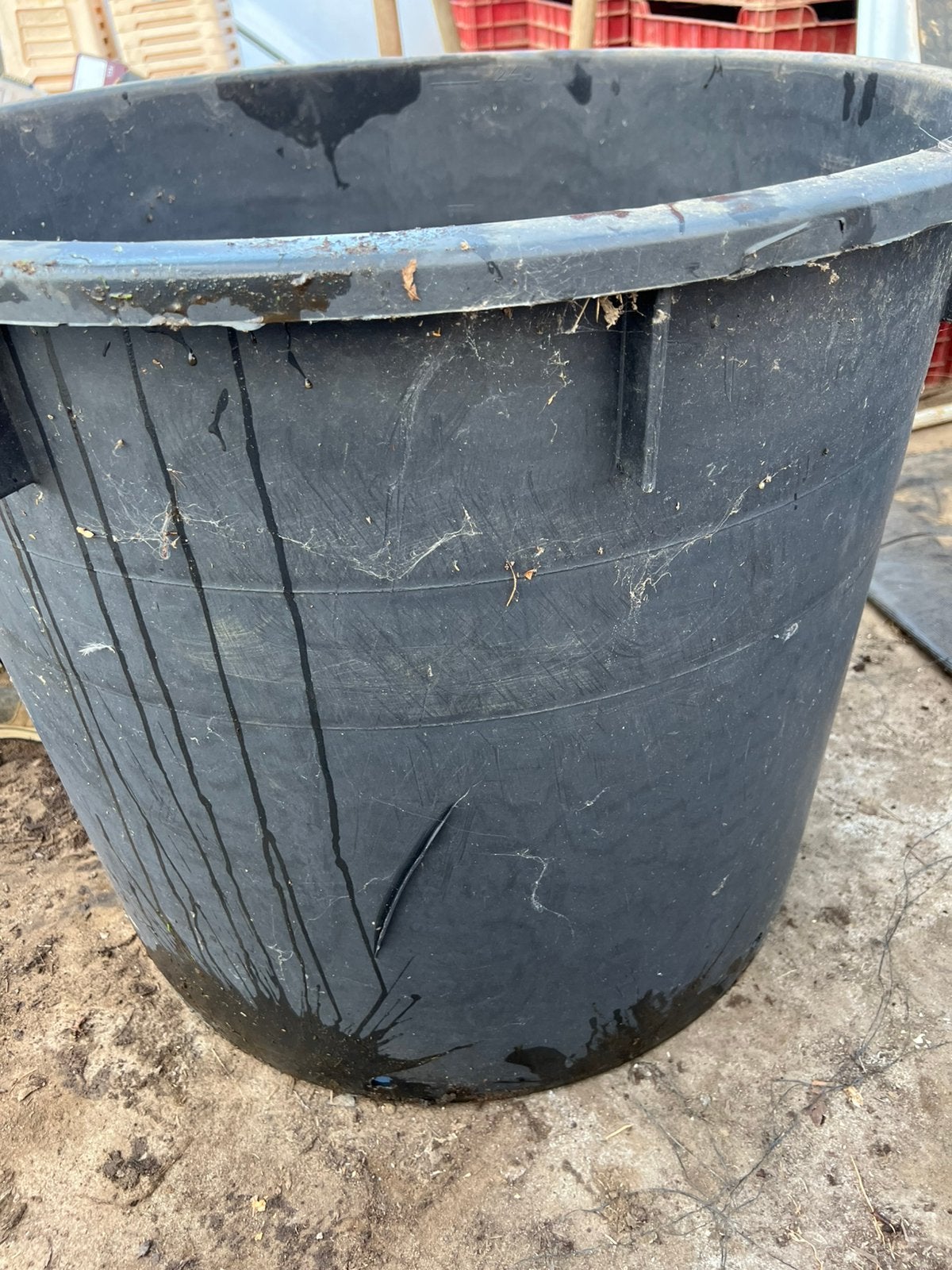 heel grote plantenkuip container 240 liter 80 x 65 cm, Ophalen, Kunststof, 40 cm of meer, Rond