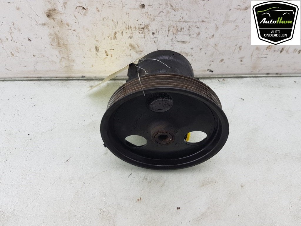 STUURBEKRACHTIGINGSPOMP Renault Kangoo Express (FC), Gebruikt, Renault