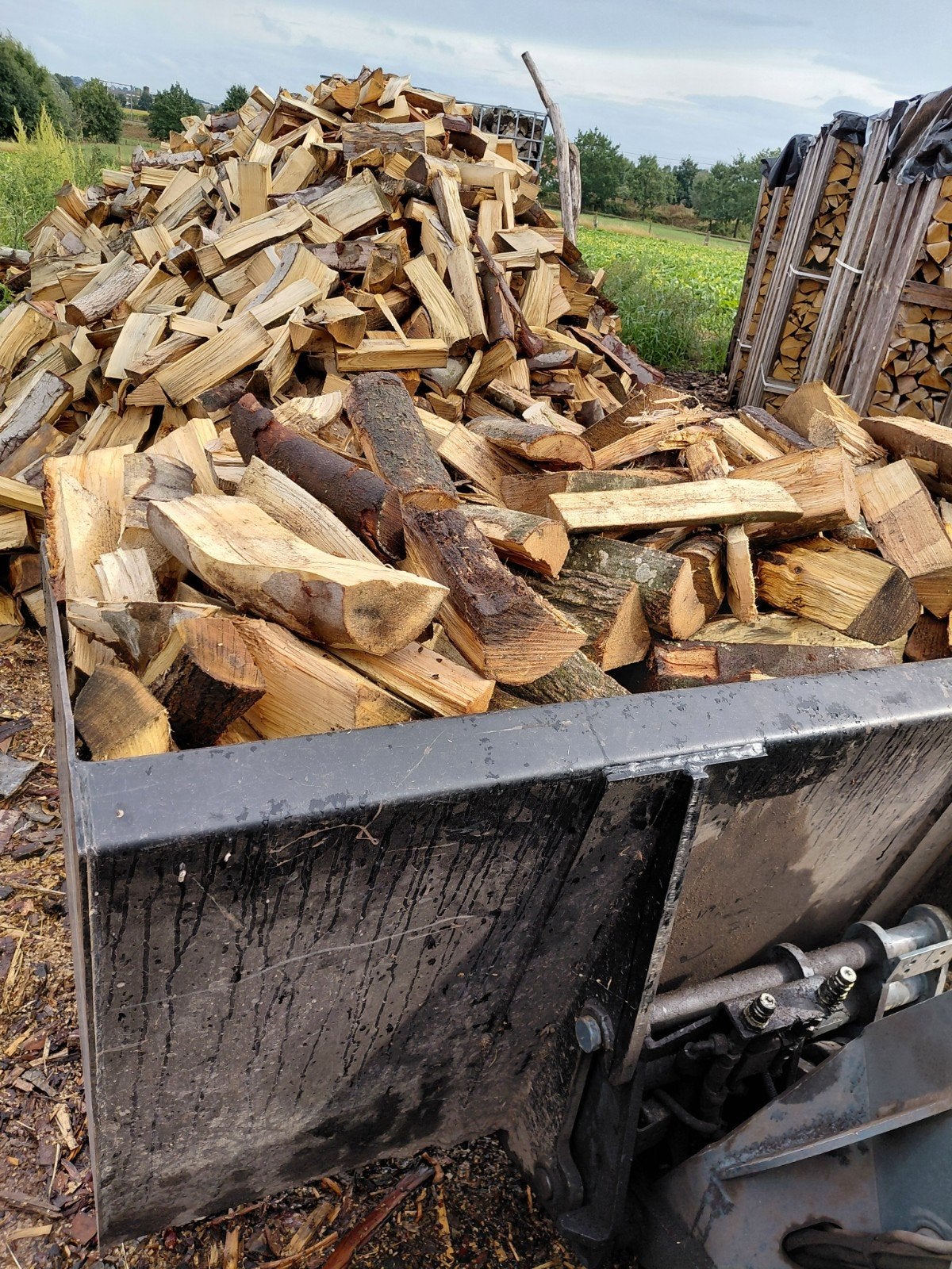 bois de chauffage à vendre, Jardin & Terrasse, Enlèvement ou Envoi