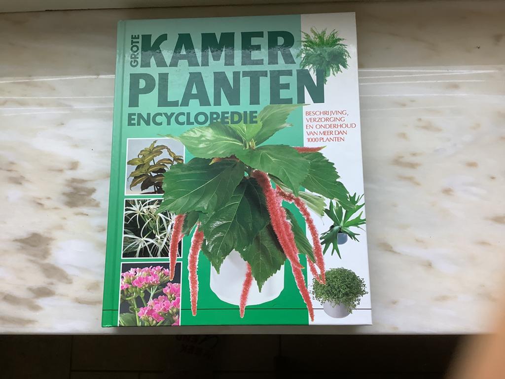 Grote kamer planten encyclopedie. ADC., Livres, Enlèvement ou Envoi, Neuf, Fleurs, Plantes et Arbres