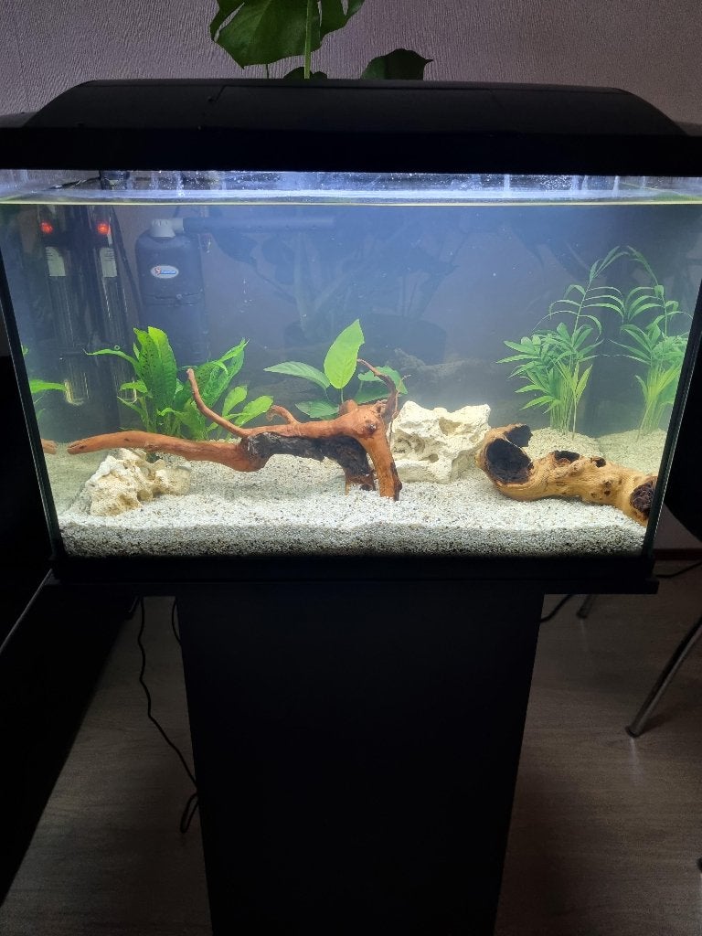 Compleet zwart Aquarium(70L)+Juwel SBXMeubel & Schoonmaakset, Animaux & Accessoires, Couvercle inclus, Enlèvement, Juwel, Meuble d'aquarium