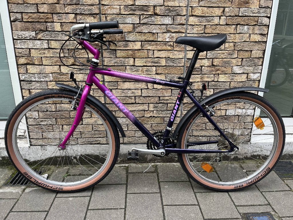 MTB GIANT terrago, Ophalen, 26 inch, 10 tot 15 versnellingen, Velgrem