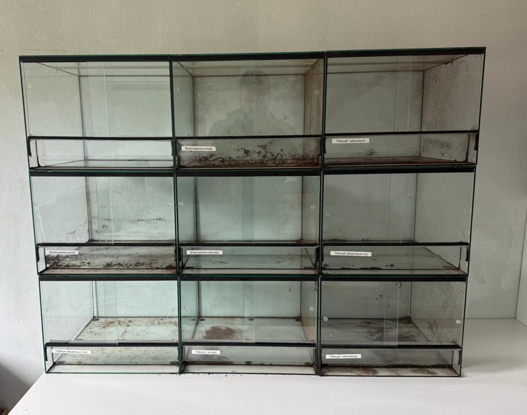 Lot terrariums te koop., Ophalen, Zo goed als nieuw, Terrarium of Paludarium