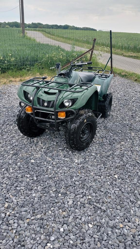 Quad bruine 250, Motos, Quads & Trikes