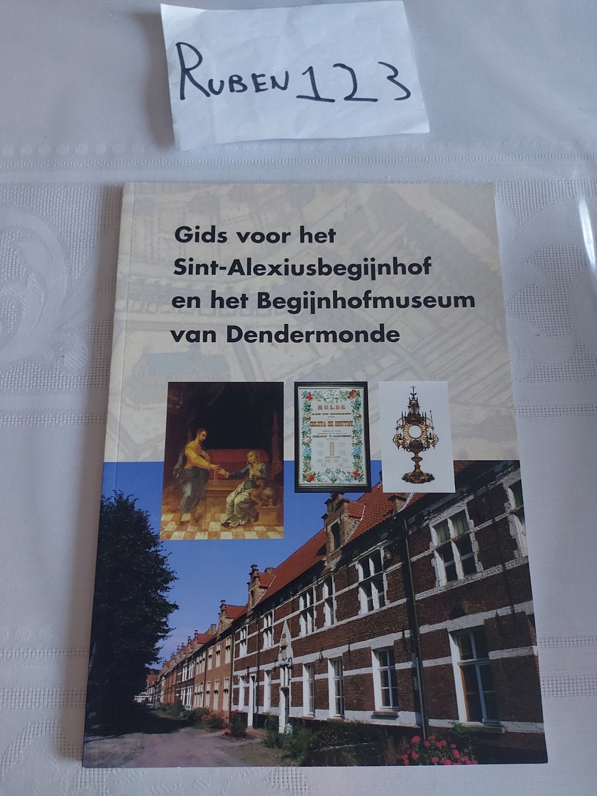 Sint-Alexiusbegijnhof en het Begijnhofmuseum van Dendermonde, Boeken, Ophalen of Verzenden