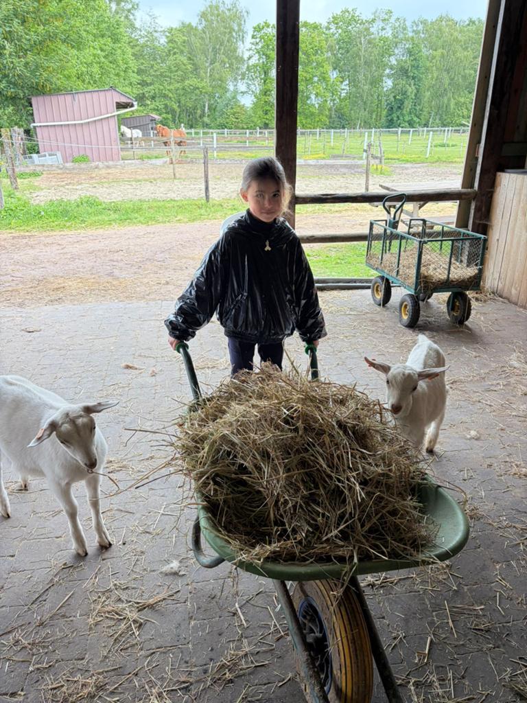 Op zoek naar een lief en tam geitenlammetje?