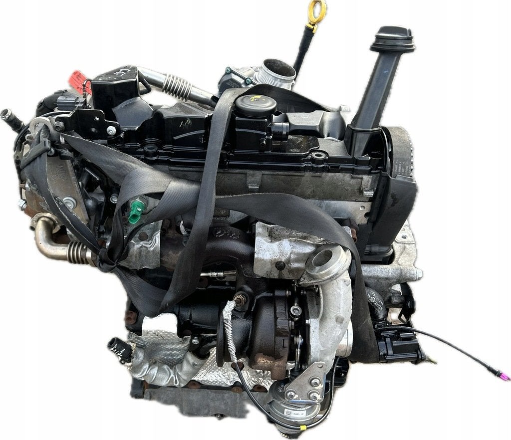 Moteur CXFA Nu MULTIVAN VW CALIFORNIA TRANSPORTER, Verzenden, Gebruikt, Overige automerken