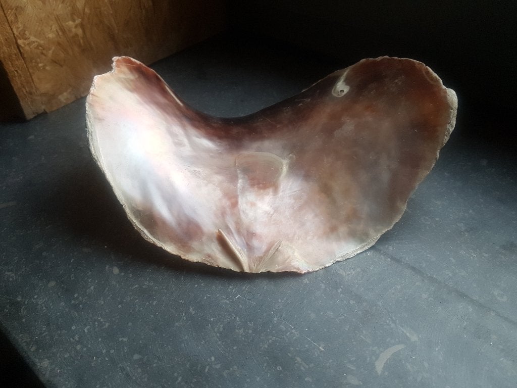 Schelp (plat), Ophalen of Verzenden