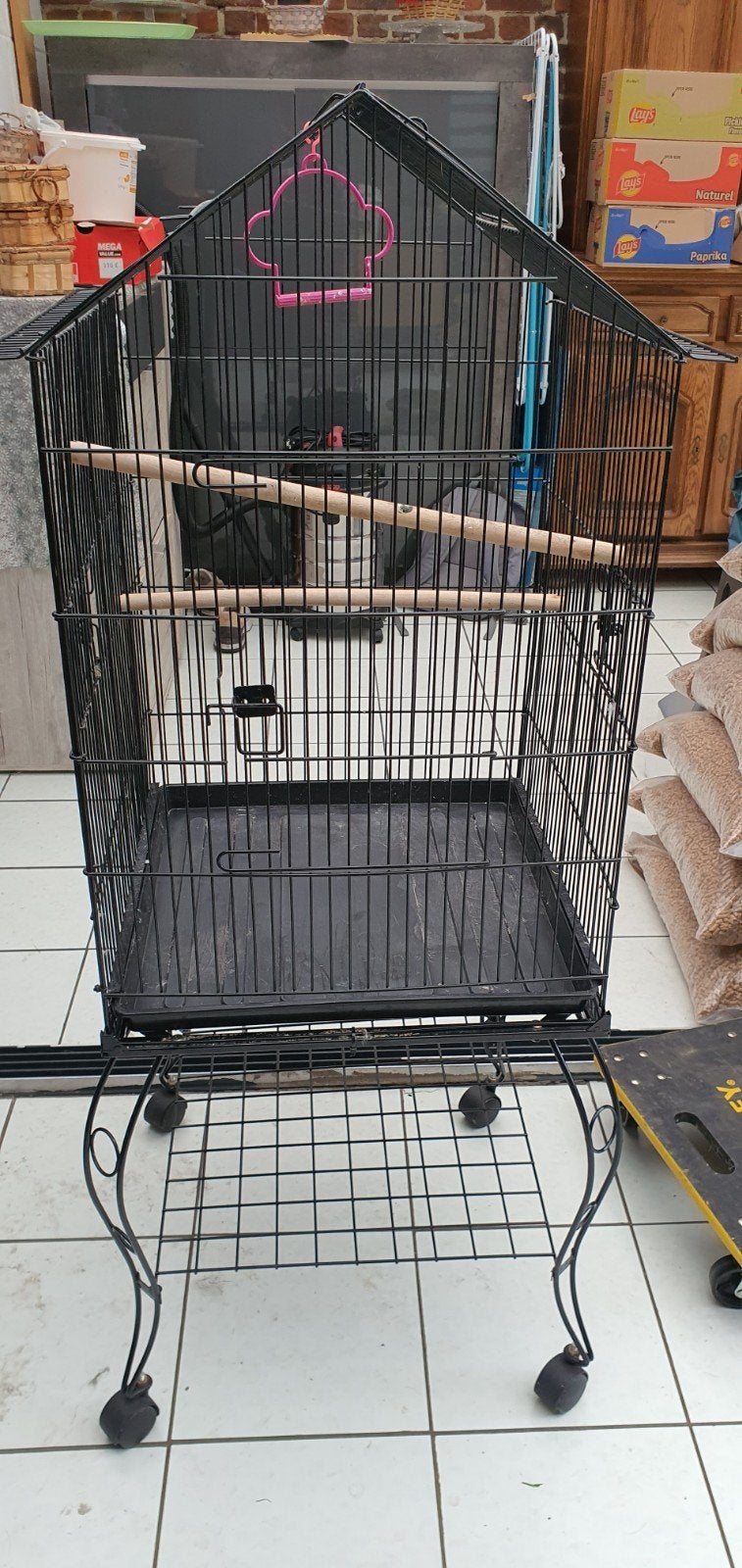 Cage oiseaux