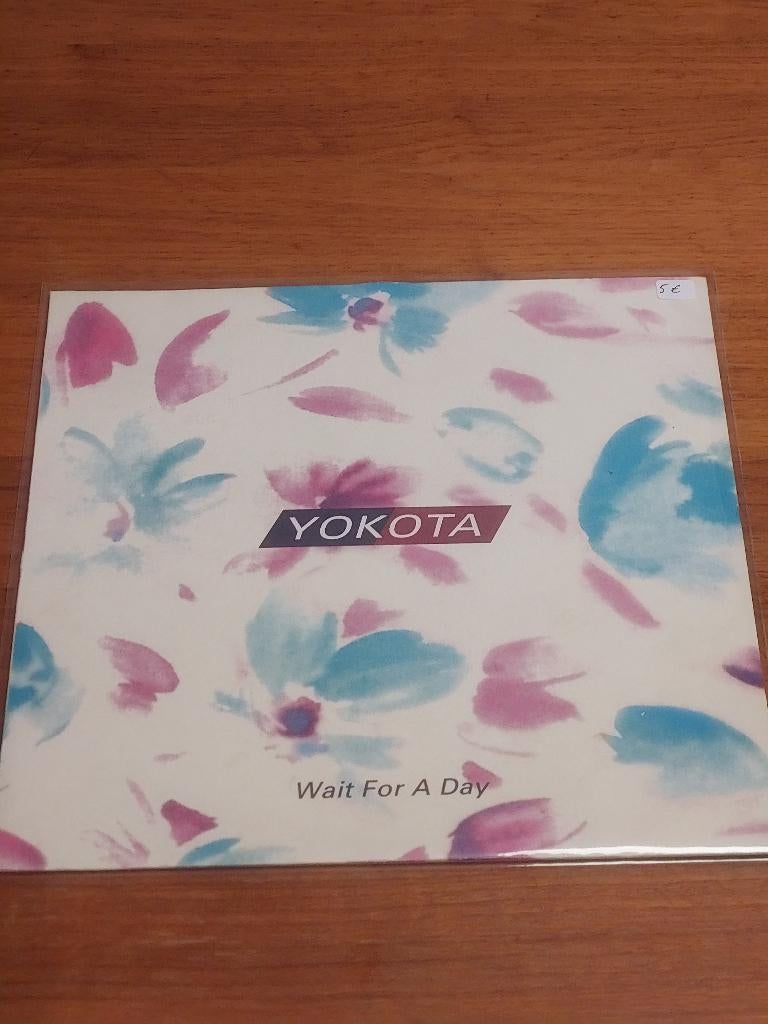 YOKOTA wait for a day MAXI LP, Cd's en Dvd's, Vinyl | Dance en House, Ophalen of Verzenden, Gebruikt, 12 inch, Drum and bass