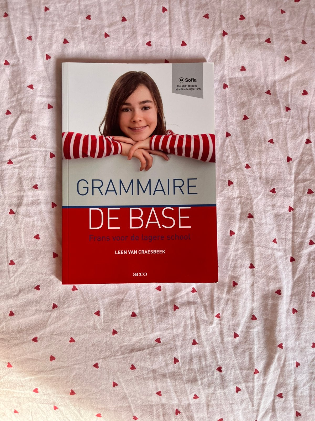 Grammaire de base Frans voor de lagere school, Boeken, Ophalen, Zo goed als nieuw