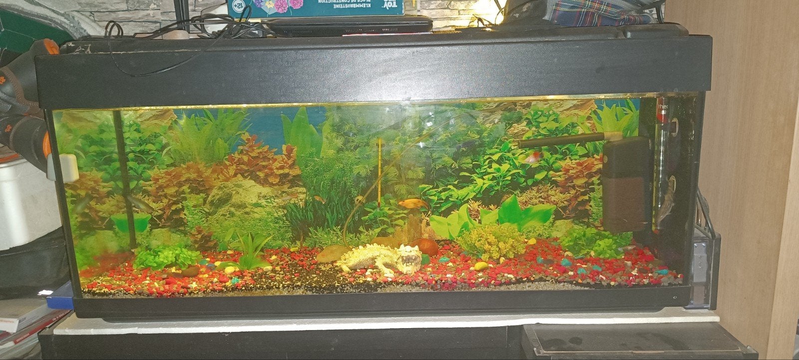 Aquarium 200l, Tuyaux inclus, Utilisé, Aquarium d'eau douce rempli