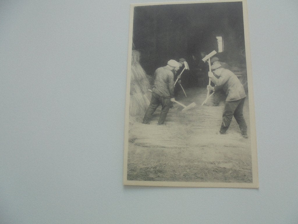 vlasteelt- het vlas wordt ontzaad met de boothamer, Verzamelen, Postkaarten | België, Verzenden, 1920 tot 1940, Ongelopen, West-Vlaanderen