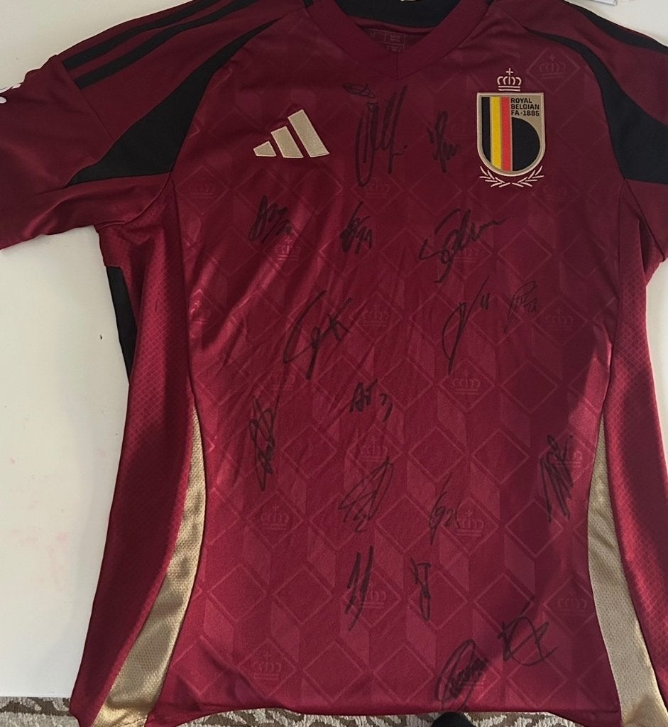Gesigneerd door de rode duivels, Collections, Articles de Sport & Football, Enlèvement ou Envoi, Comme neuf, Maillot