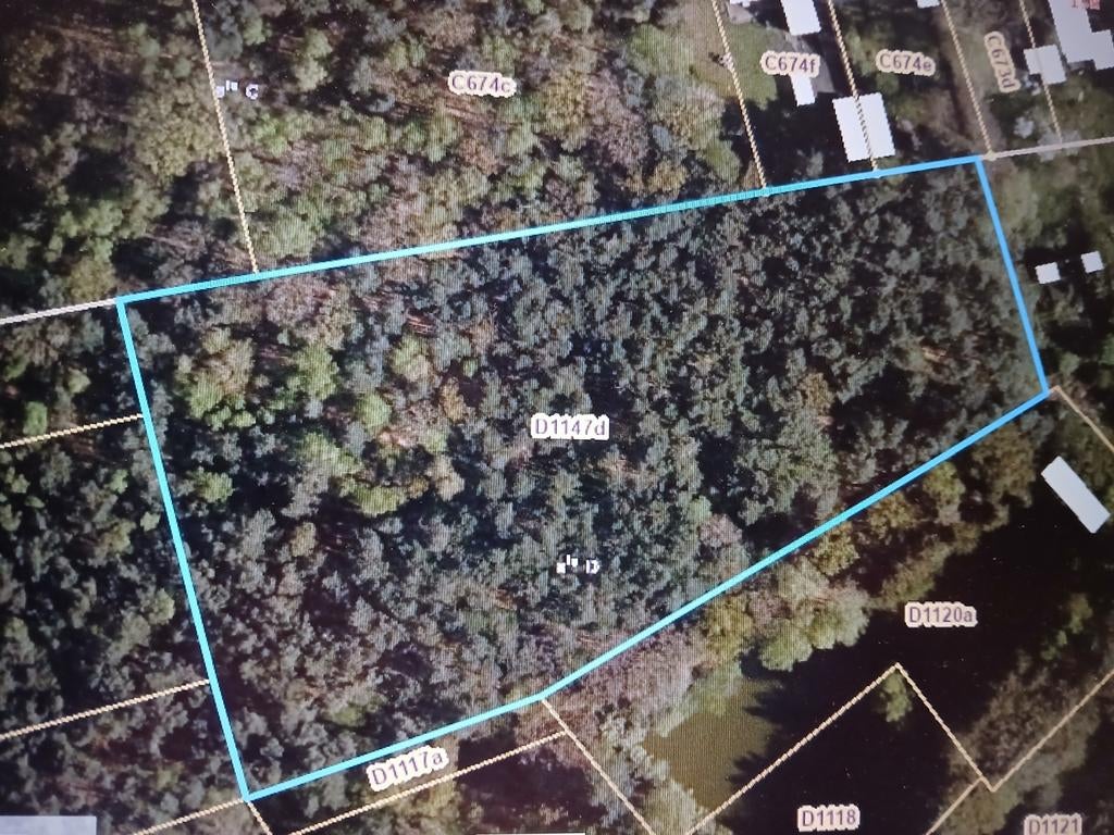 Bosgrond te koop in Houthalen.