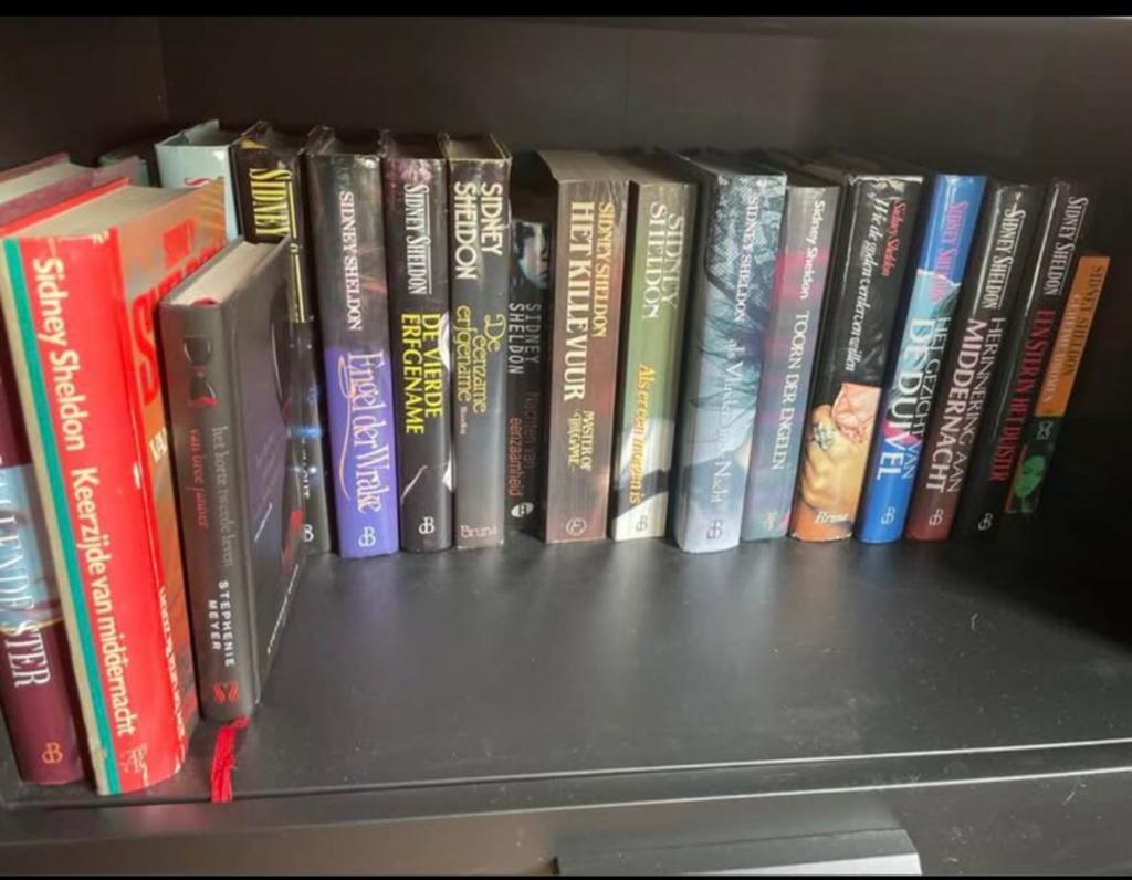 Boeken Sidney Sheldon, Boeken, Ophalen, Gelezen