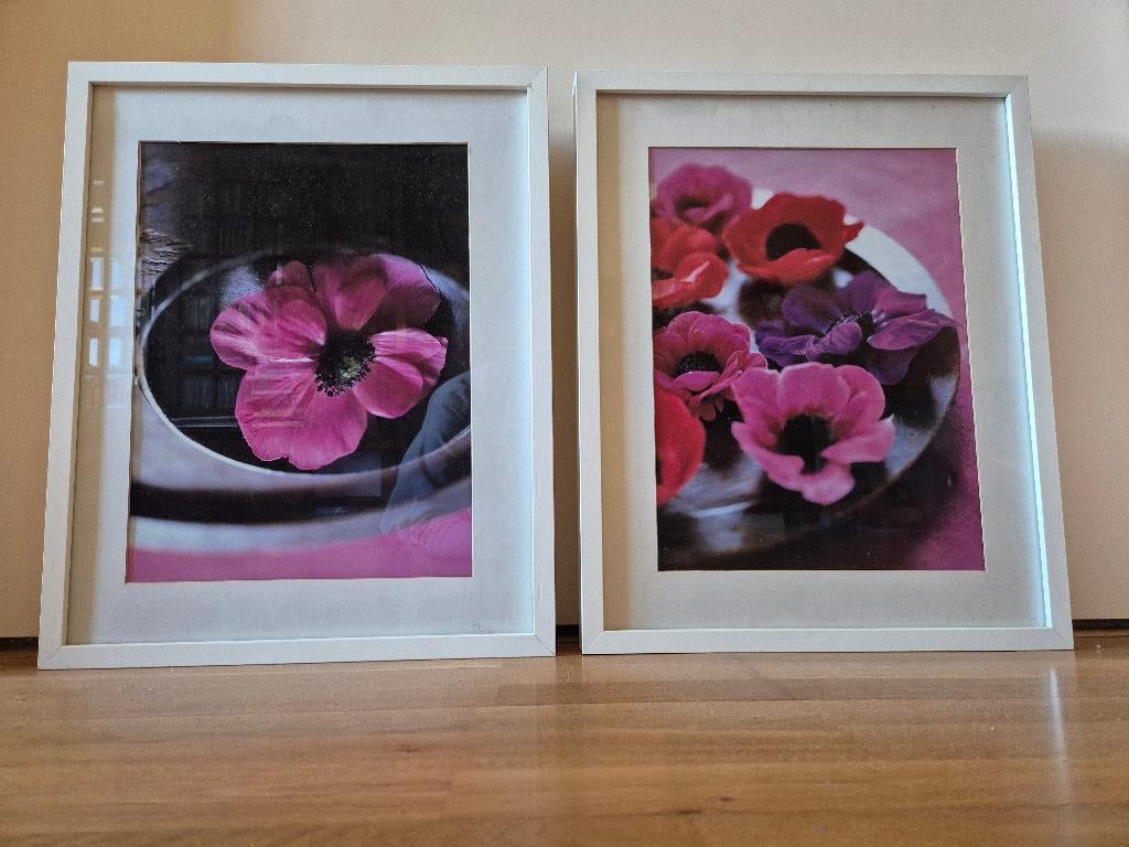Fotokader klaproos klaprozen 2 kaders, Ophalen, Achter glas, Nieuw, Glas