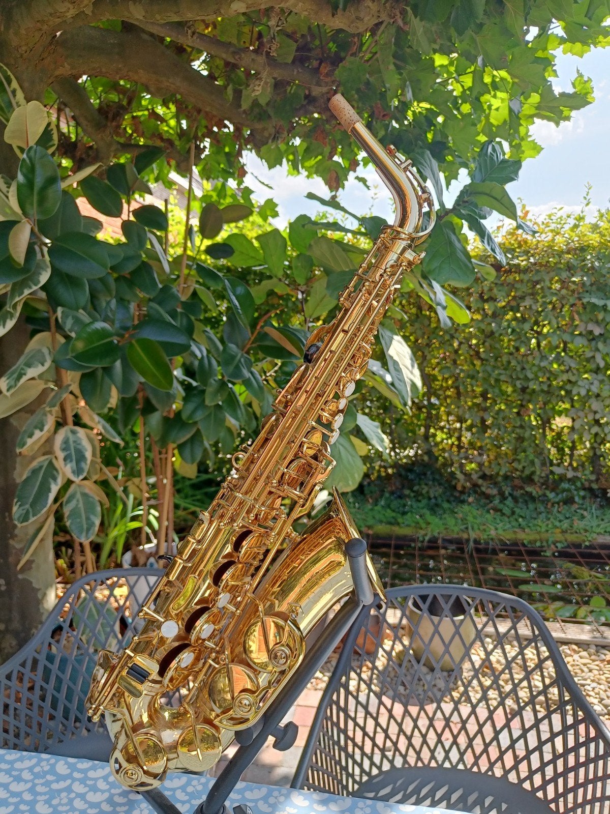 Jupiter altsaxofoon, Muziek en Instrumenten, Ophalen, Alt