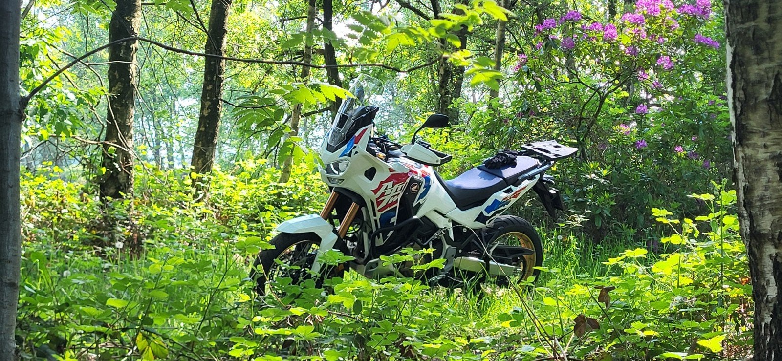 honda africa twin adventure sports, Motoren, 2 cilinders, Handvatverwarming, Motorrijbewijs A, Particulier