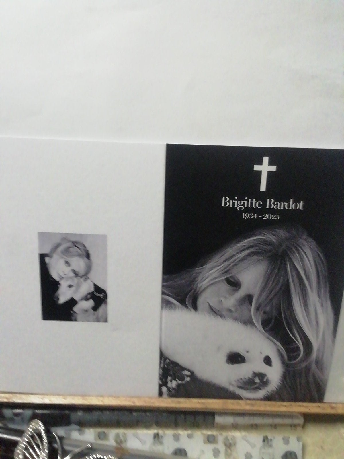 bidprentje van Brigitte Bardot, Collections, Enlèvement ou Envoi
