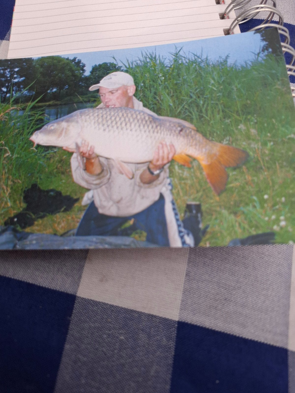 bidprentje met dier, Ophalen of Verzenden, Bidprentje