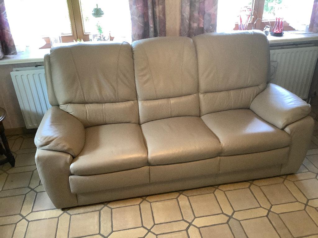 Salon, Ophalen, Zo goed als nieuw, Leer