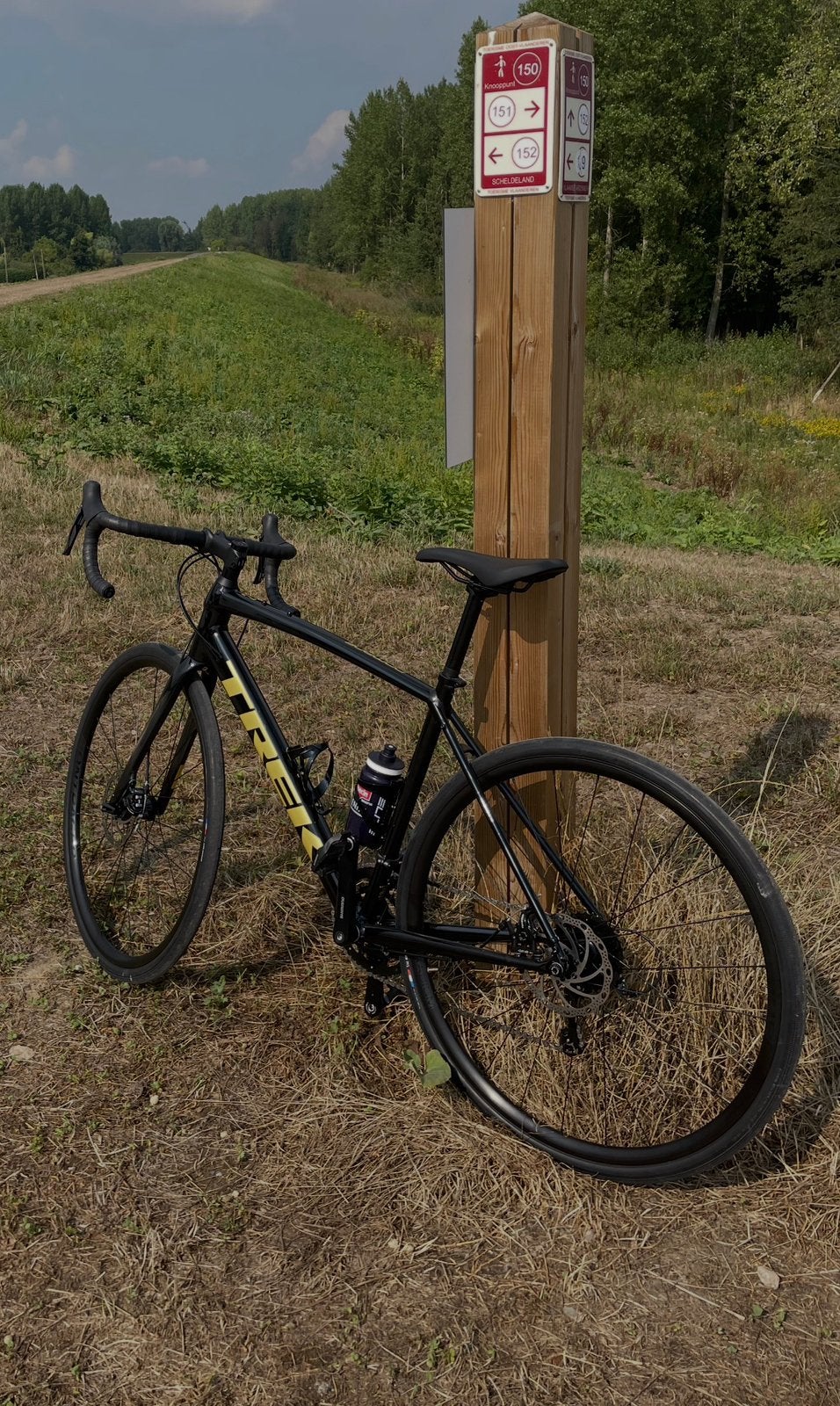 Trek Domane Al2, Ophalen, Zo goed als nieuw, Aluminium