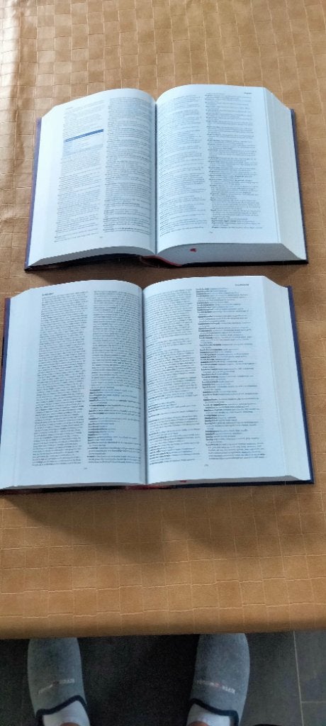 Woordenboek Van Dale, Livres, Dictionnaires, Neuf, Enlèvement ou Envoi, Néerlandais, Van Dale