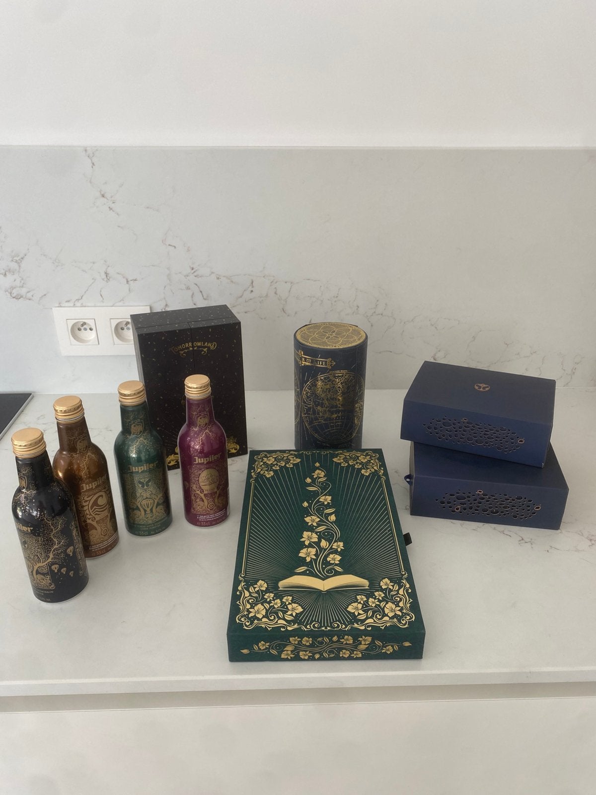 Tomorrowland treasure cases met bandjes, Tickets & Billets, Événements & Festivals