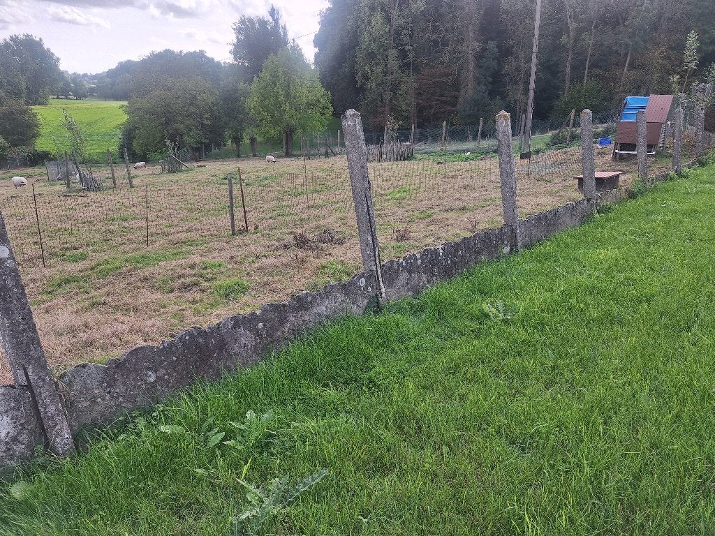 Dalles en béton gratuites, Jardin & Terrasse, Moins de 1 mètre, Enlèvement, Utilisé, Moins de 3 mètres