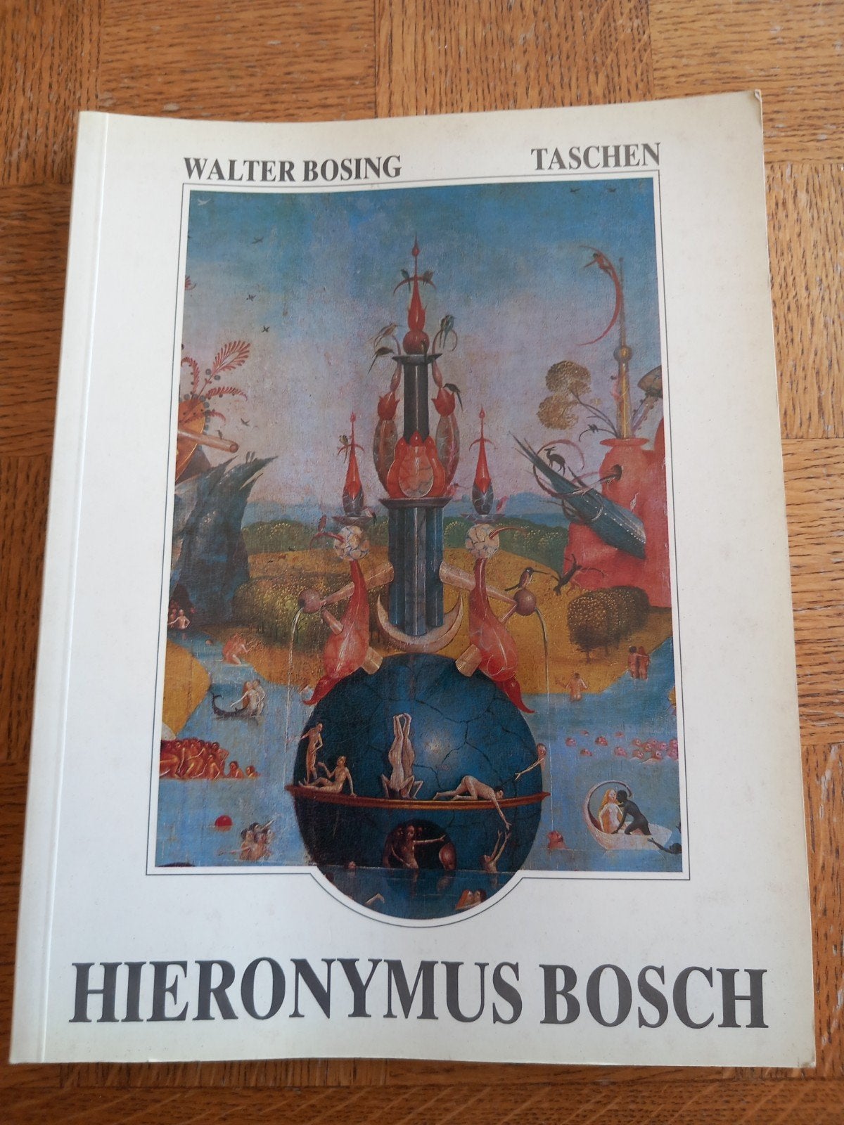 Boek kunstboek Hieronymus Bosch Kunst Schilderkunst Taschen, Boeken, Ophalen of Verzenden