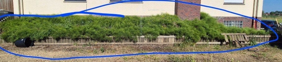 Gratis grond !, Tuin en Terras, Ophalen