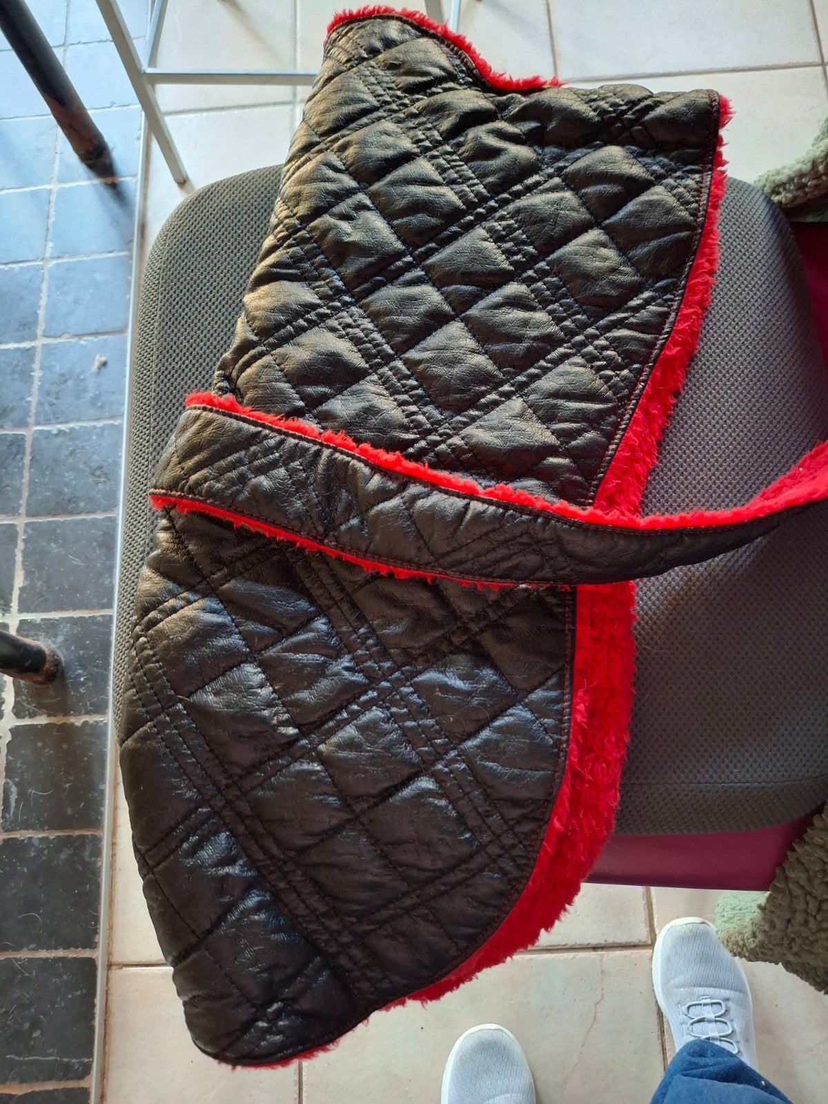 windhond jasje, Ophalen