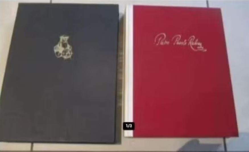 Prachtig KunstBoek - Pietro Pauolo Rubens - Mercatorfonds, Boeken, Ophalen of Verzenden, Zo goed als nieuw, Schilder- en Tekenkunst