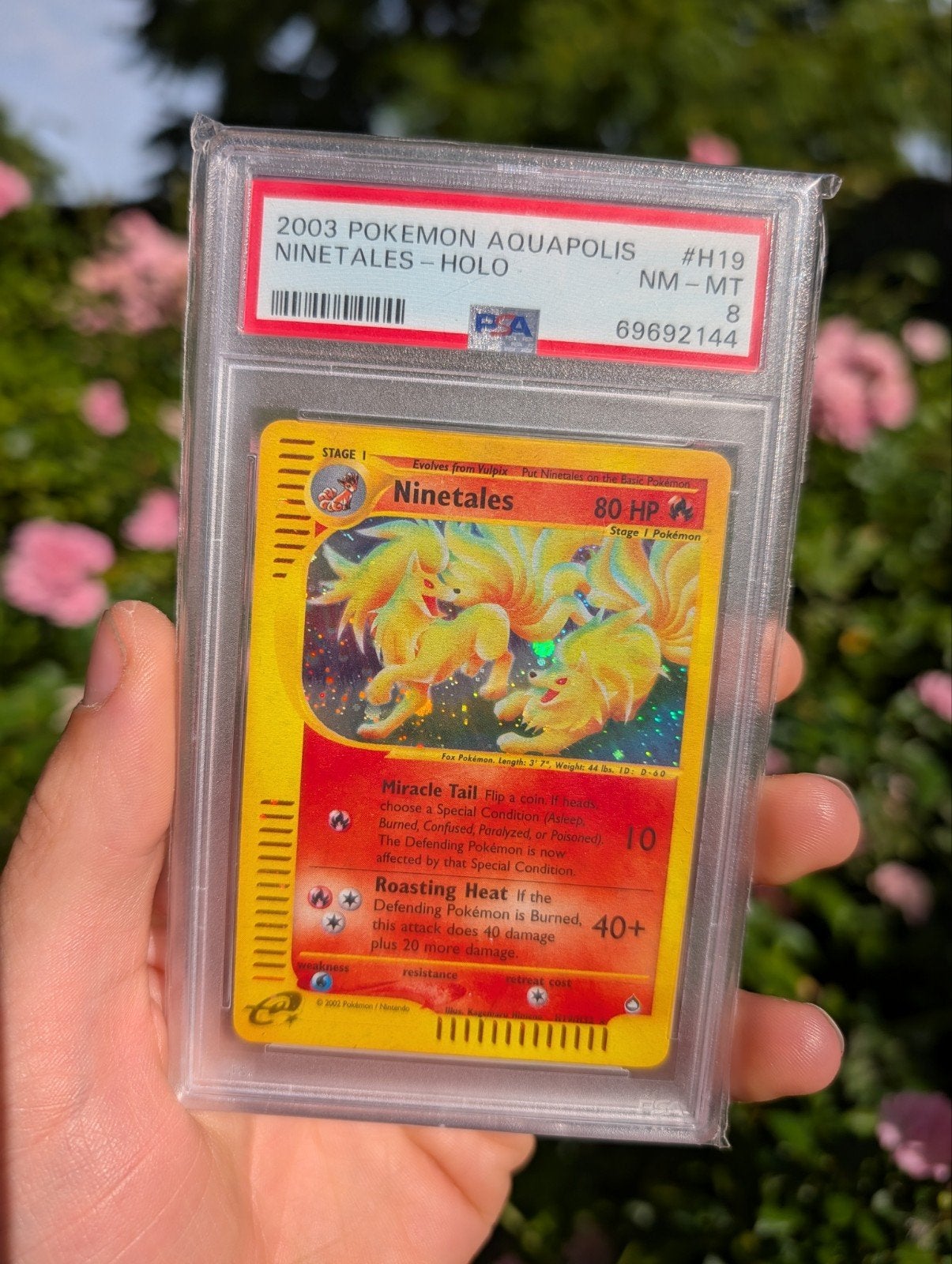 Ninetales Aquapolis holo psa 8 - Pokemon, Enlèvement ou Envoi