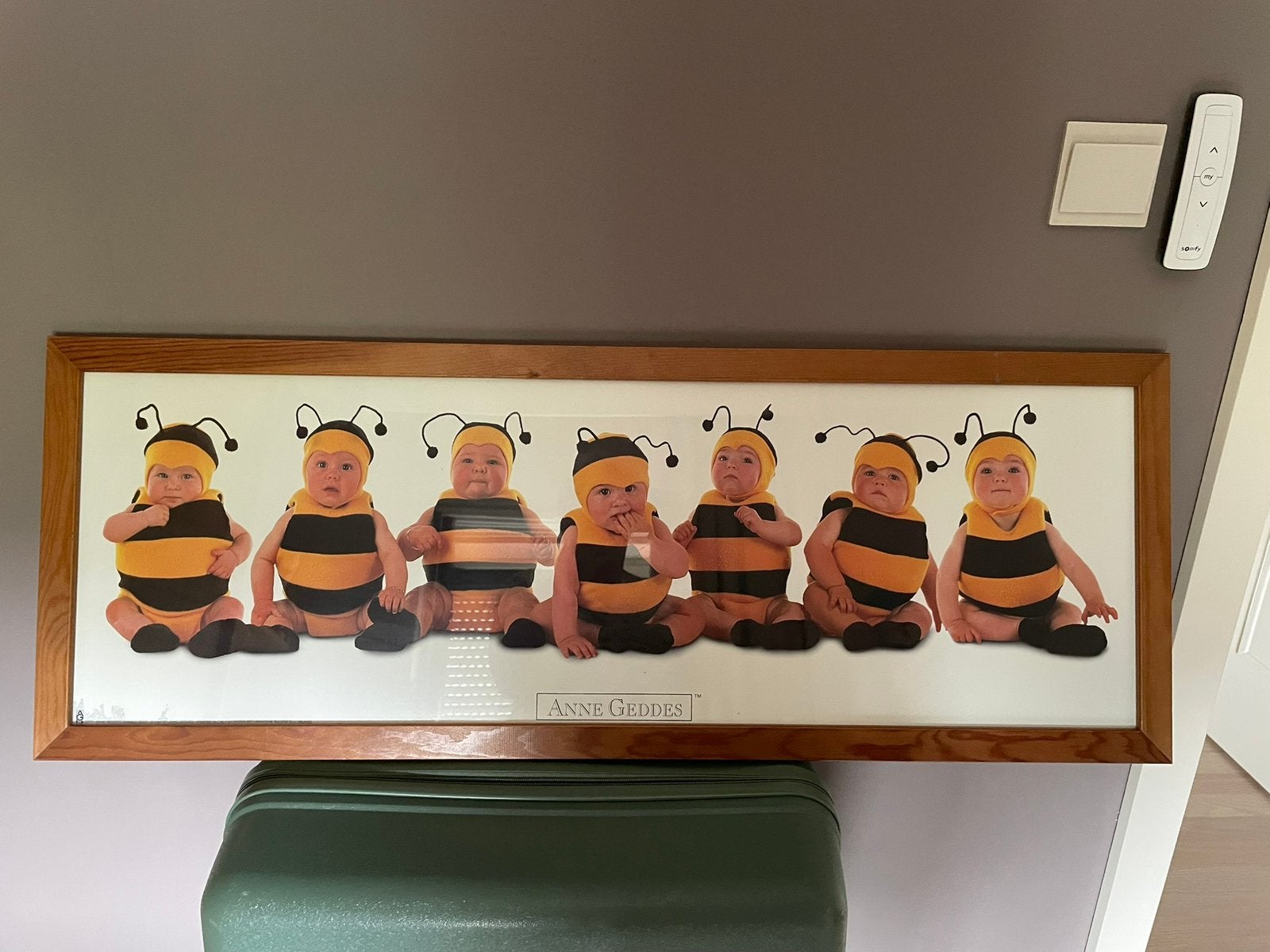 Anne Geddes poster in kader, Antiek en Kunst, Ophalen