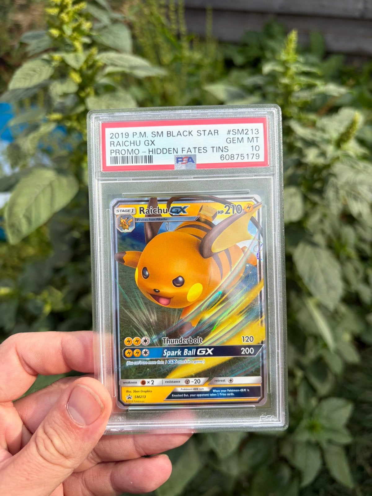 Raichu GX SM213 Hidden Fates Promo uit 2019, Ophalen, Nieuw