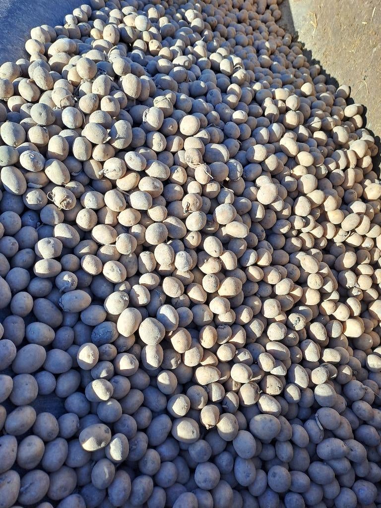 Pootgoed fontane planters 140kg 28/35, Ophalen