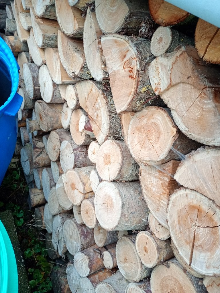 BRANDHOUT TE KOOP, Tuin en Terras, 6 m³ of meer, Ophalen, Overige houtsoorten, Blokken