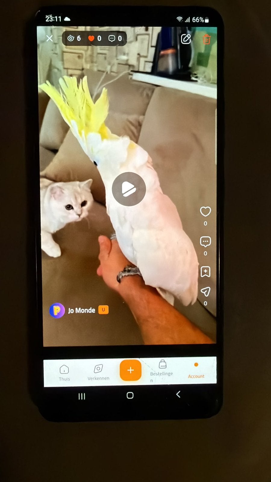 KopKap-application pour animaux de compagnie achat et vente, Plusieurs animaux, Perroquet